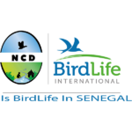 Logo NCD